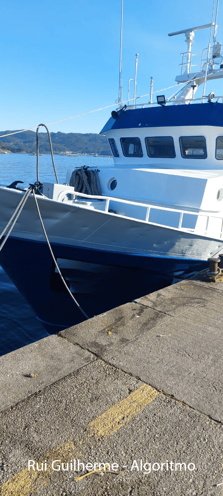 Fresh Fish Trawler 26m